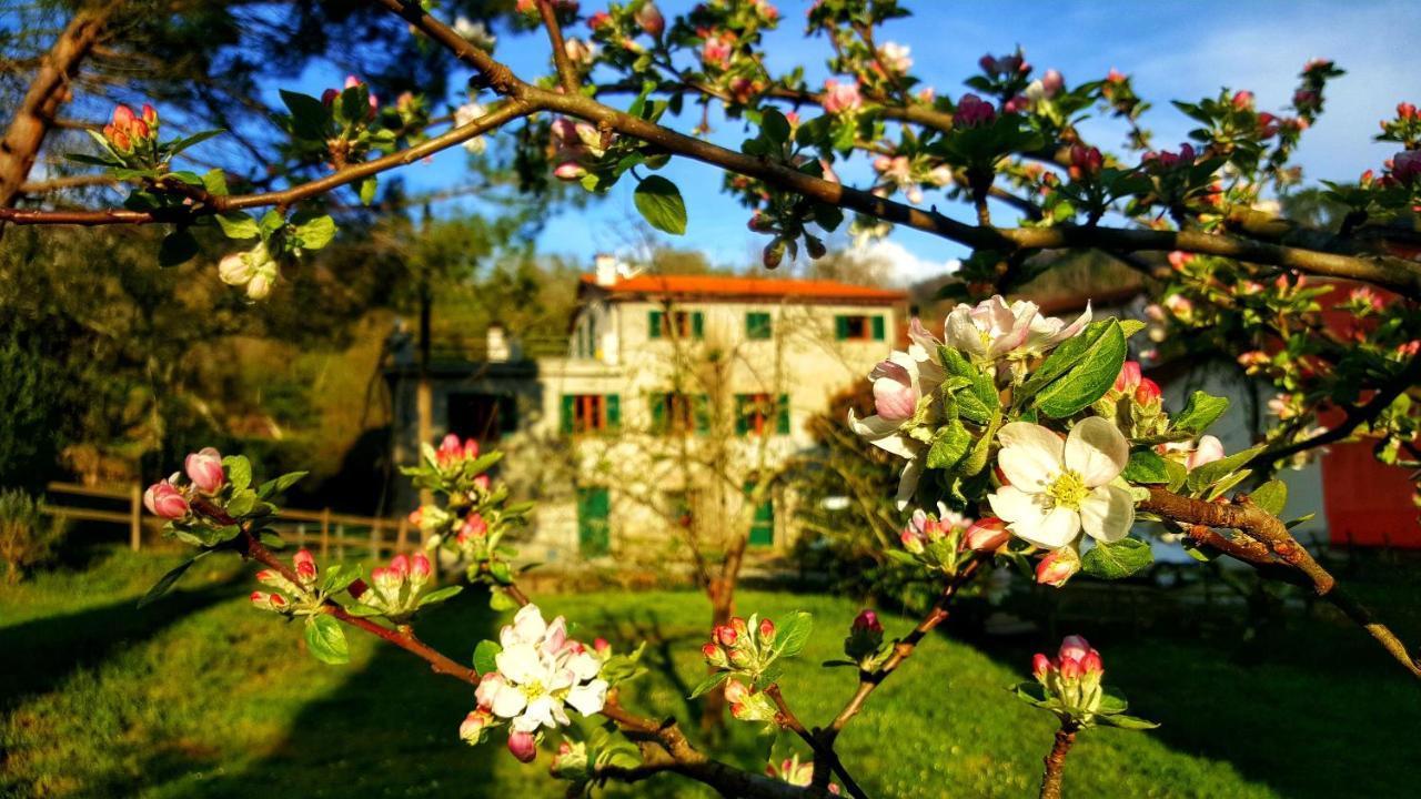 B&B Tre Ponti Castiglione Chiavarese Buitenkant foto